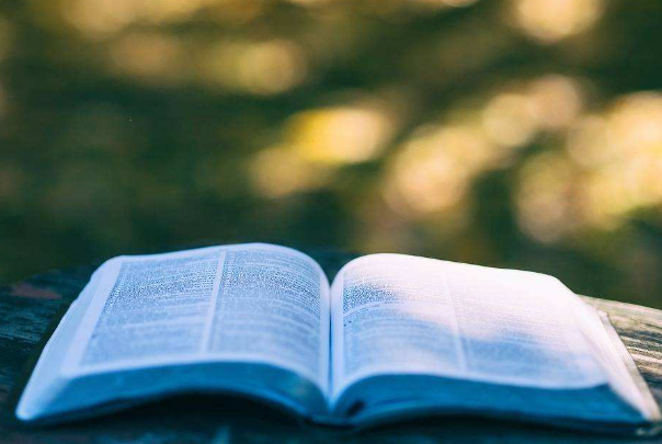 融創(chuàng)教育加盟 融創(chuàng)教育加盟