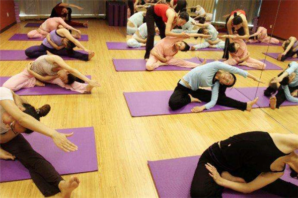 伊伶女子瑜伽加盟 伊伶女子瑜伽加盟