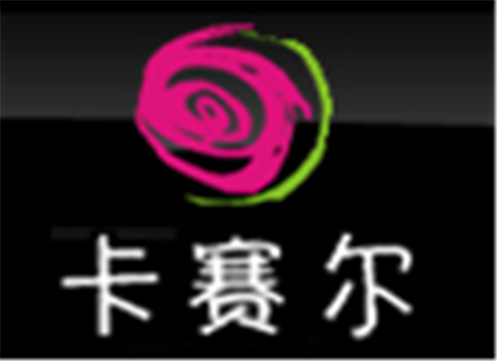 卡賽爾少兒教育