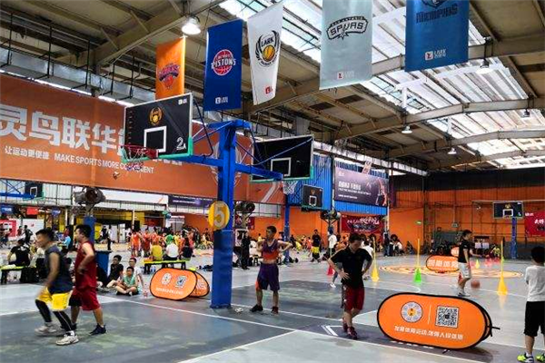 百靈鳥DOD青少年籃球培訓班